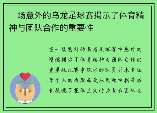 一场意外的乌龙足球赛揭示了体育精神与团队合作的重要性